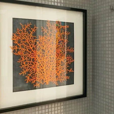 Apartment Insight Cedofeita- Parking, Balconies & Ac *